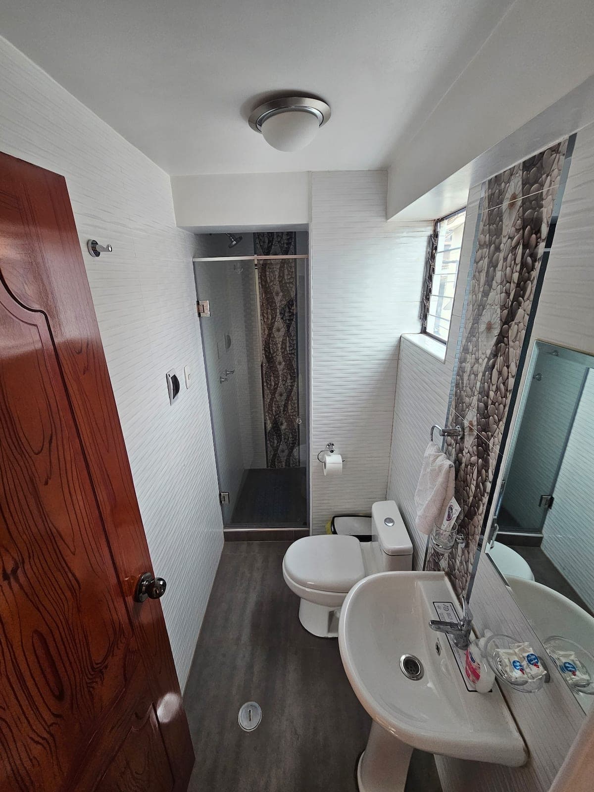 Apartment 1 private bathroom with sink, toilet, and shower