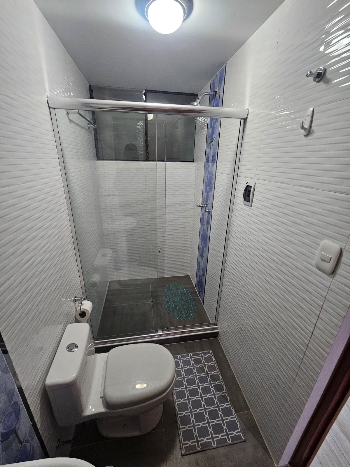 Apartment 6 bathroom shower