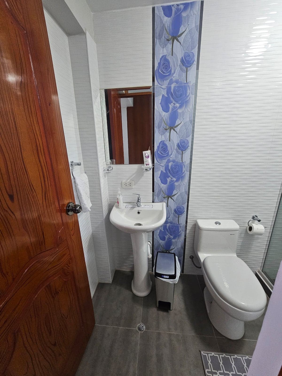 Apartment 6 bathroom sink and toilet