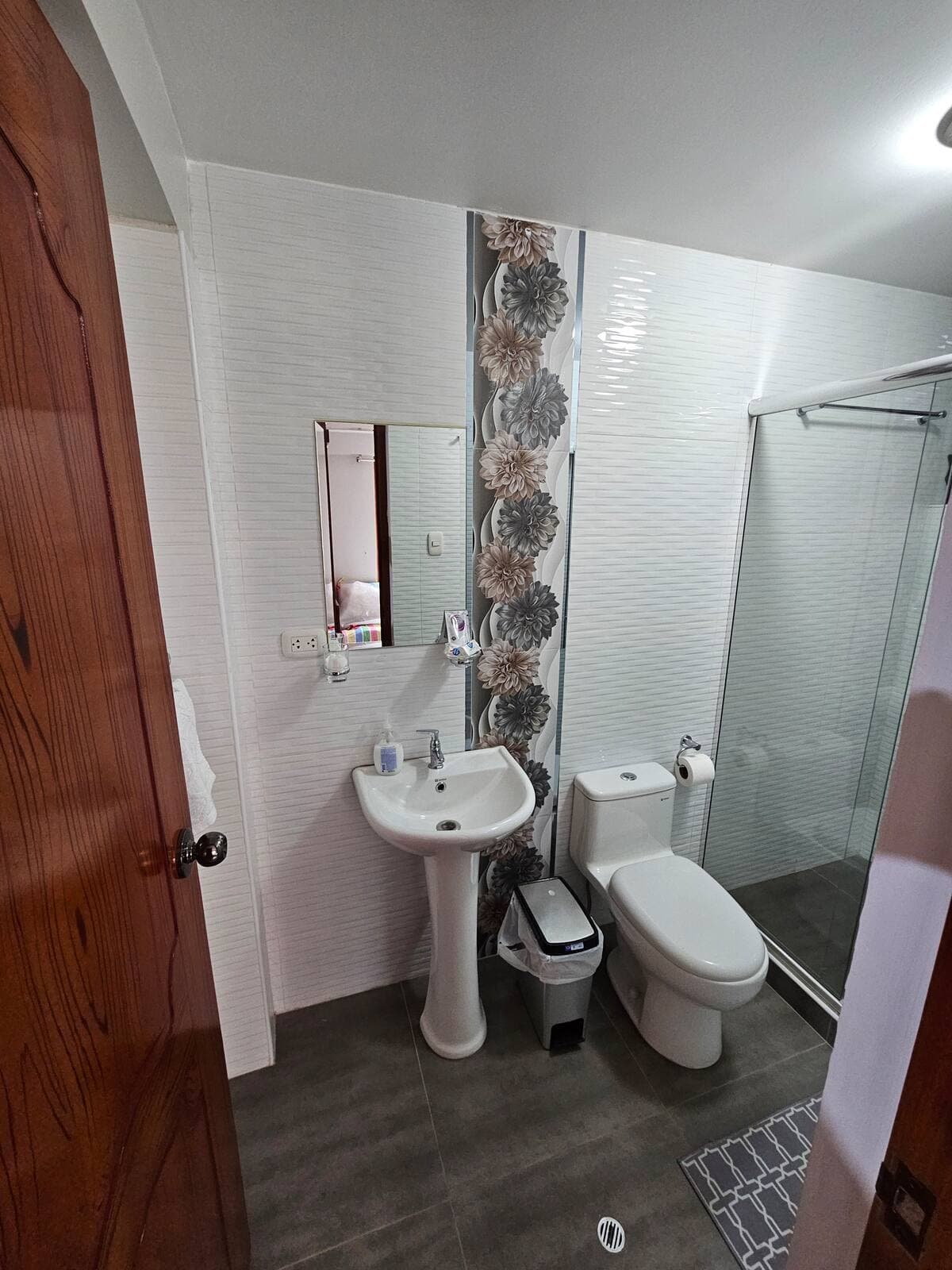 Apartment 2 bathroom sink and toilet