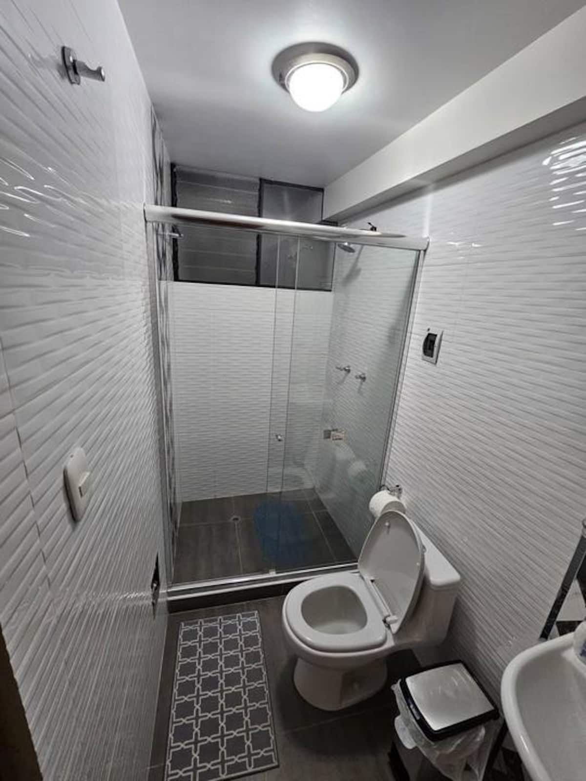 Apartment 3 bathroom shower
