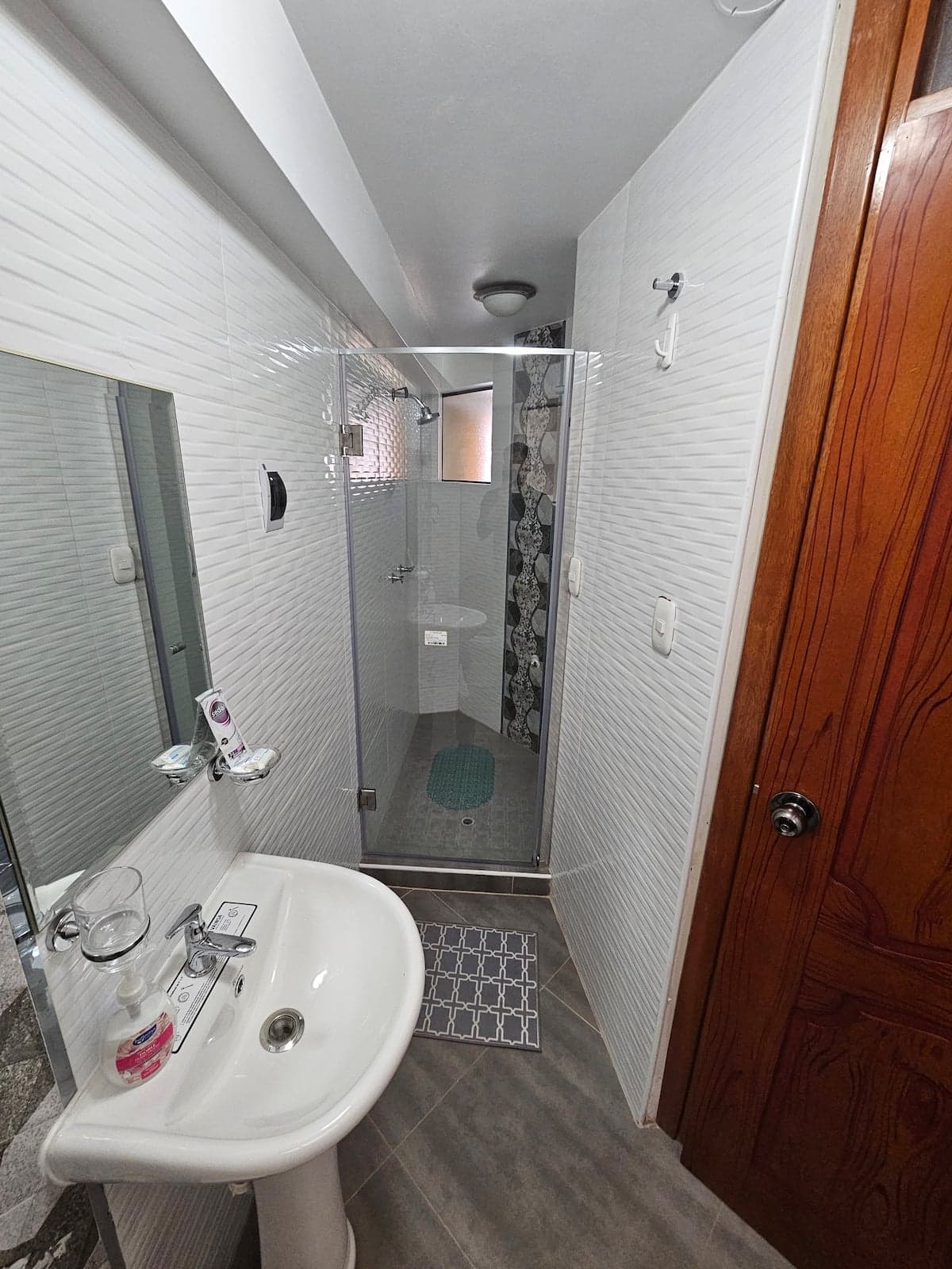 Apartment 4 bathroom shower